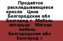 Продаётся раскладывающееся кресло › Цена ­ 4 000 - Белгородская обл., Белгород г. Мебель, интерьер » Мягкая мебель   . Белгородская обл.,Белгород г.